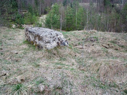 Foto 42